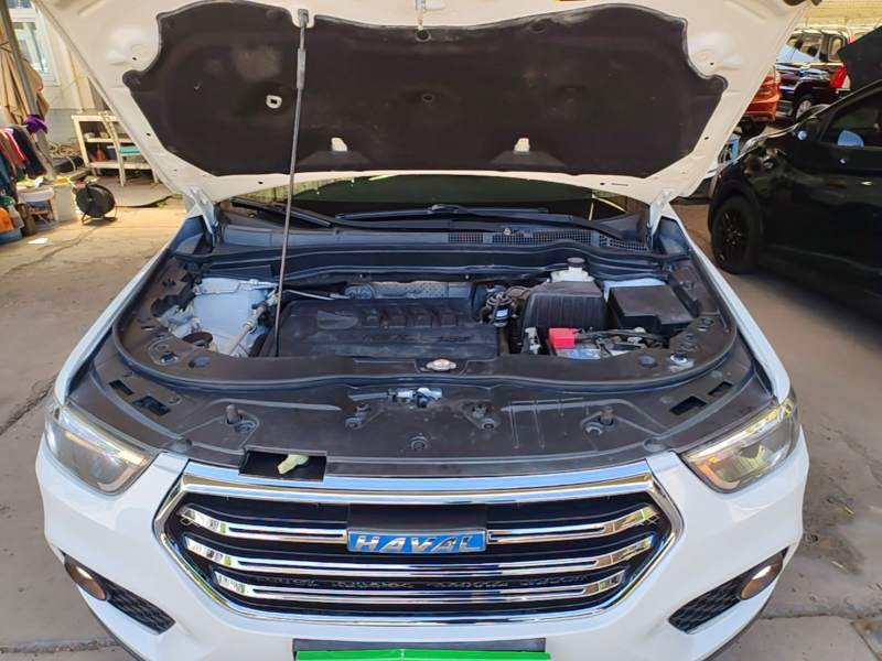 Used Haval H6 2018 Blue Label Sport Edition 1.5T Automatic Two-Wheel Drive Elite Model — 19