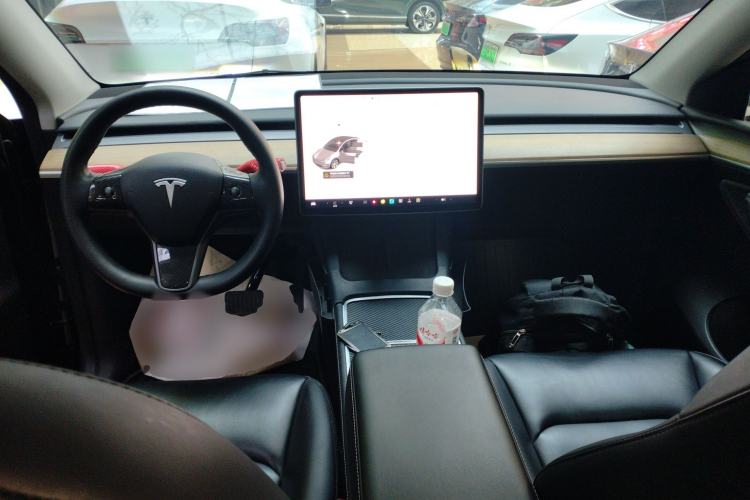 Used Tesla Model Y 2021 Standard Range Rear-Wheel Drive Version
