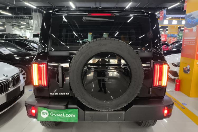 Used Tank 300 2024 2.0T Conqueror Rear