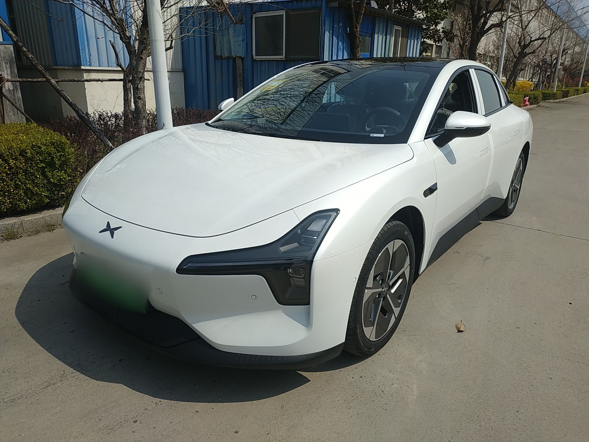 Parte inferior delantera