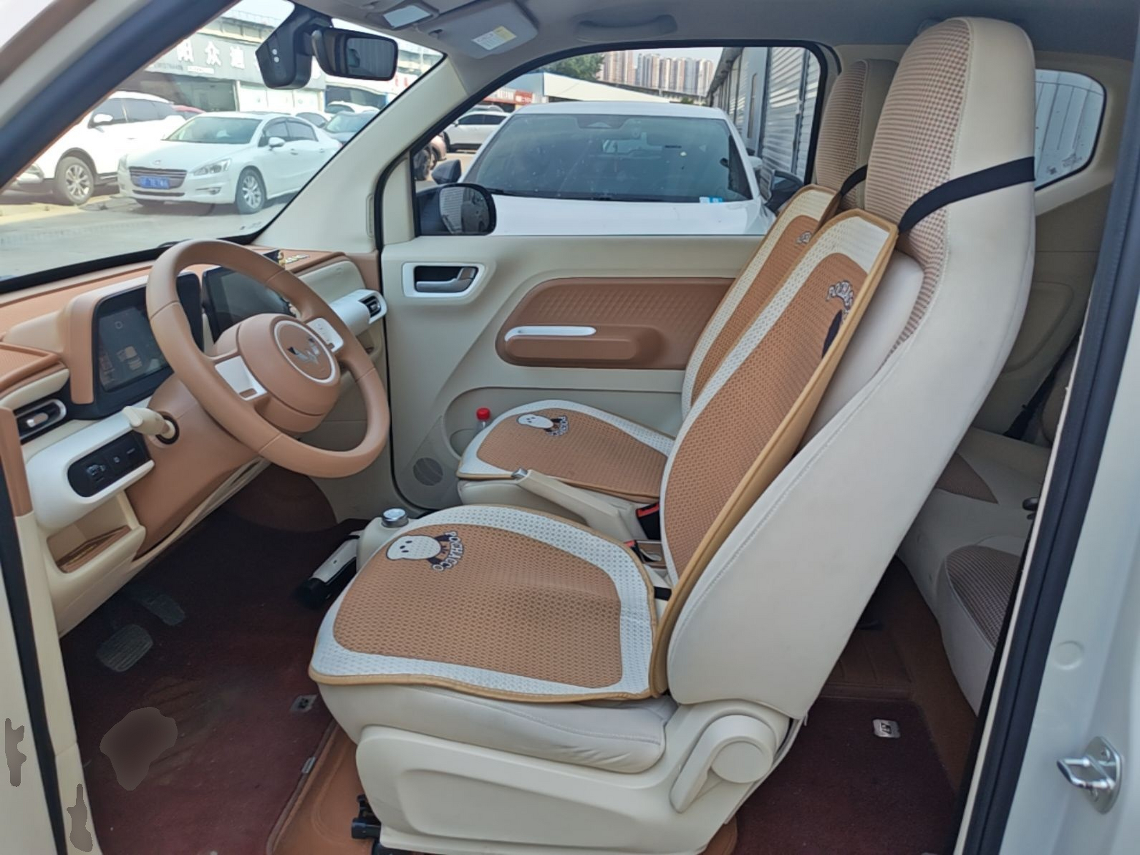 Interior delantero