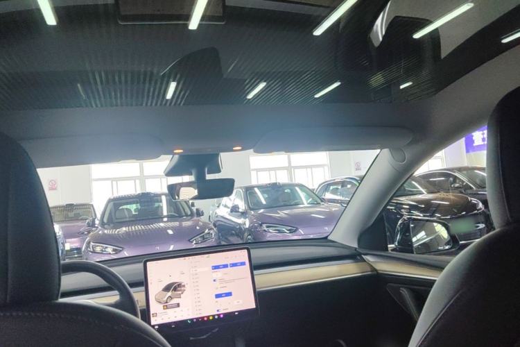 Used Tesla Model Y 2021 Standard Range Rear-Wheel Drive Version Headliner