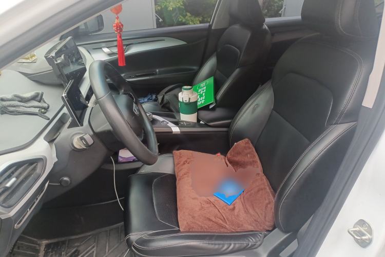 Used Geometry G6 2022 480 New Smart Type Left Front Seat