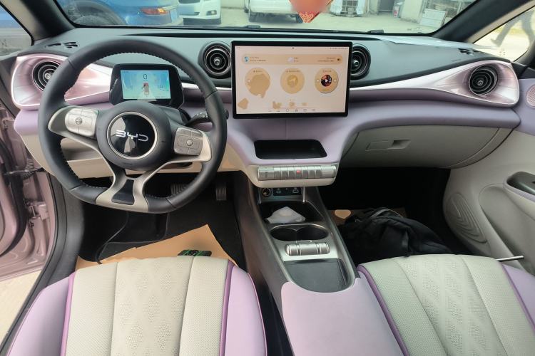 Used BYD Dolphin 2025 420km Free Edition Center Console