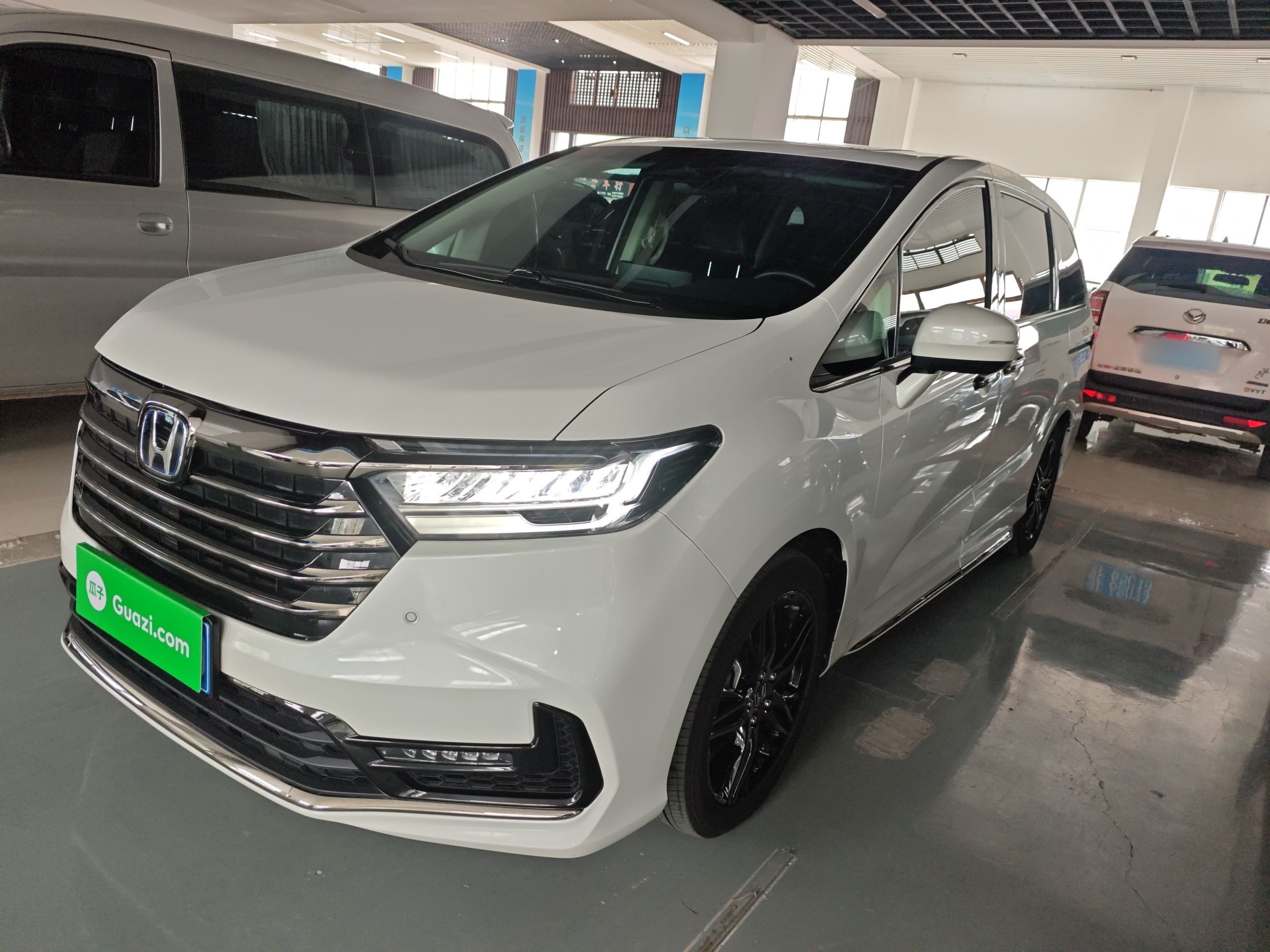 Parte inferior delantera