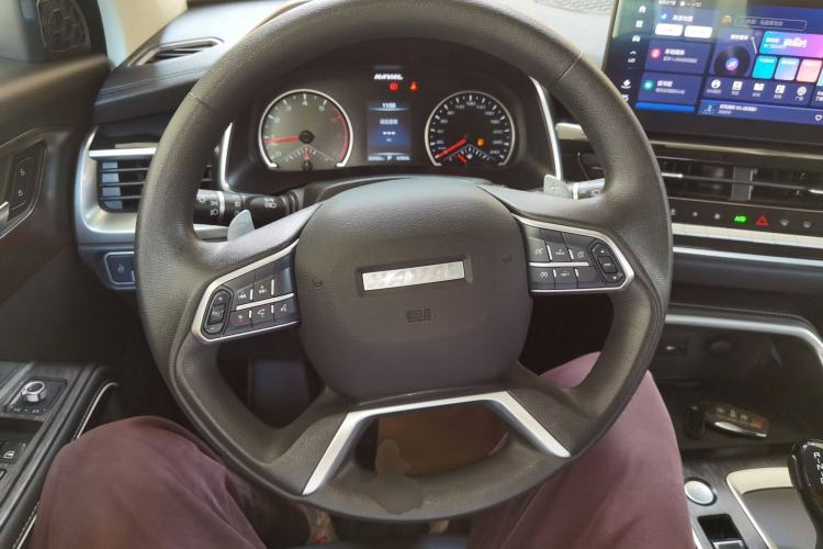 Used Haval H6 2023 National Trend Edition 1.5T Automatic Urban Version