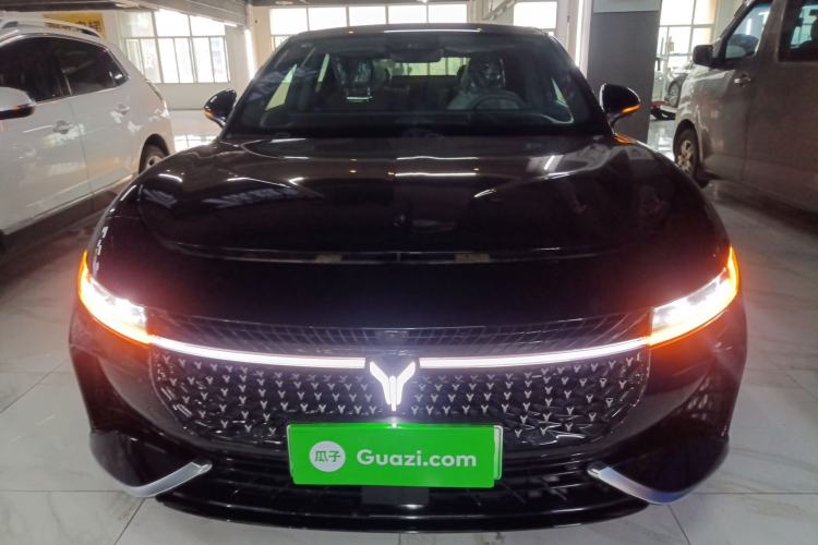 Used VOYAH PASSION 2024 PHEV Four-Wheel Drive Ultra-Long Range Executive Edition