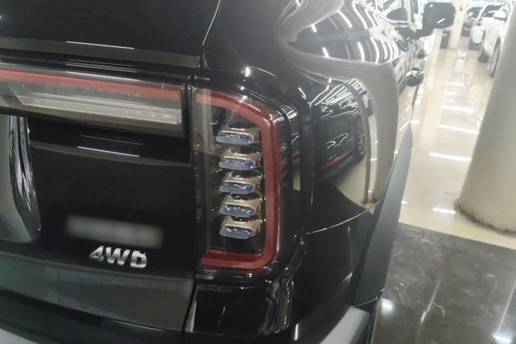 Used Haval DARGO 2024 2.0T DCT Chinese Rural Dog Edition
