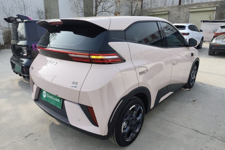 Used BYD Seagull 2025 Smart Drive Version 305 km Freedom Edition Exterior 5