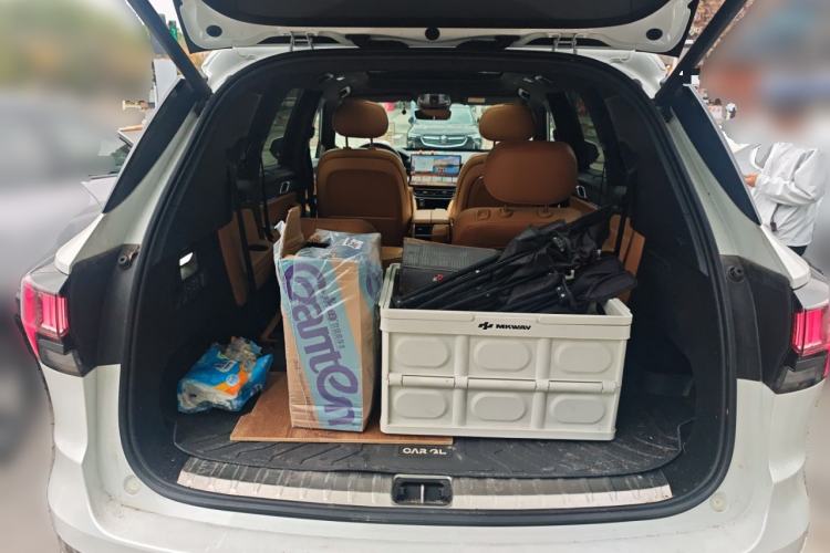 Used Lynk & Co 09 EM-P 2024 2.0TD EM-P Four-Wheel Drive ULTRA Six-Seater