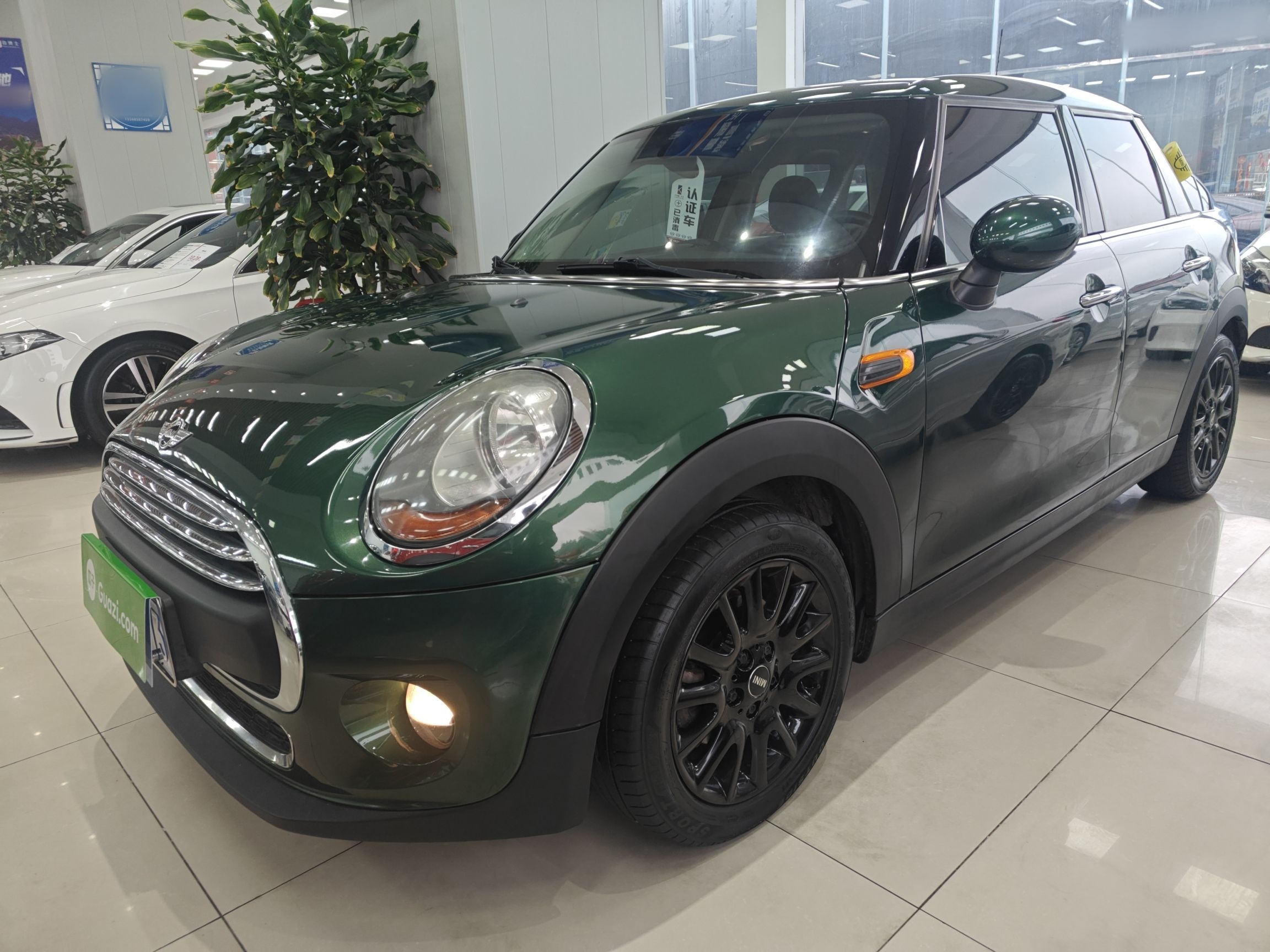 Parte inferior delantera