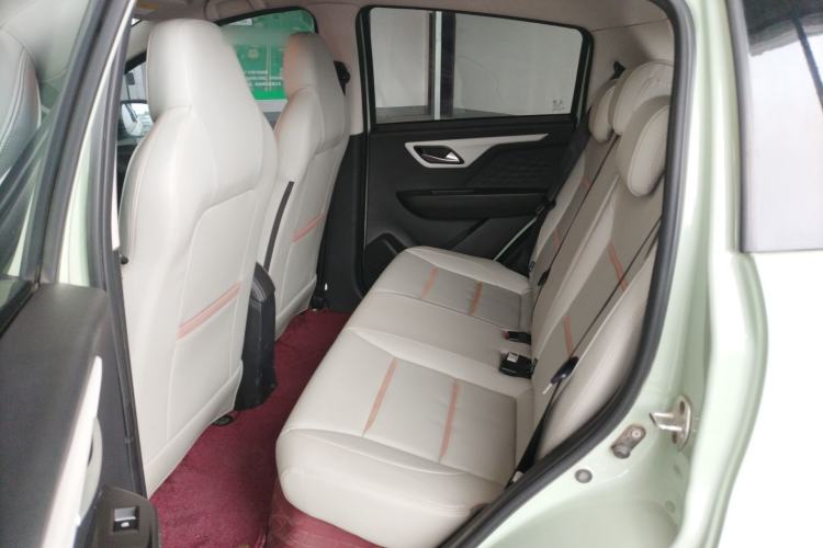 Used SOL E10X 2022 Flower Fairy Design Four-Leaf Clover
