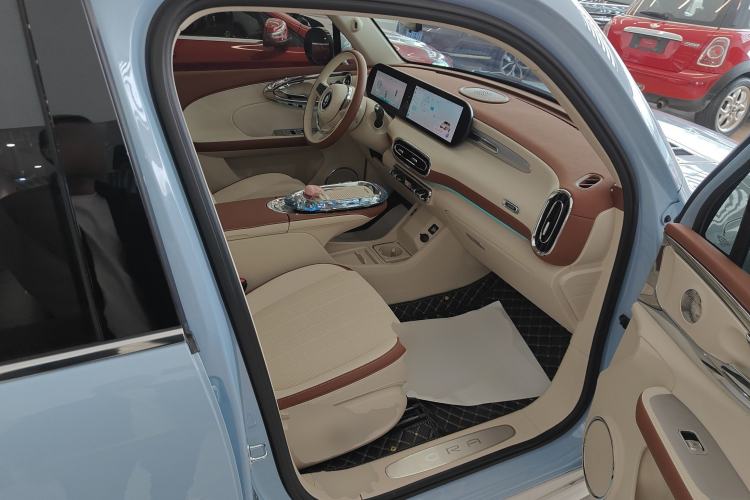 Used ORA Ballet Cat 2023 401 km Luxury Version
