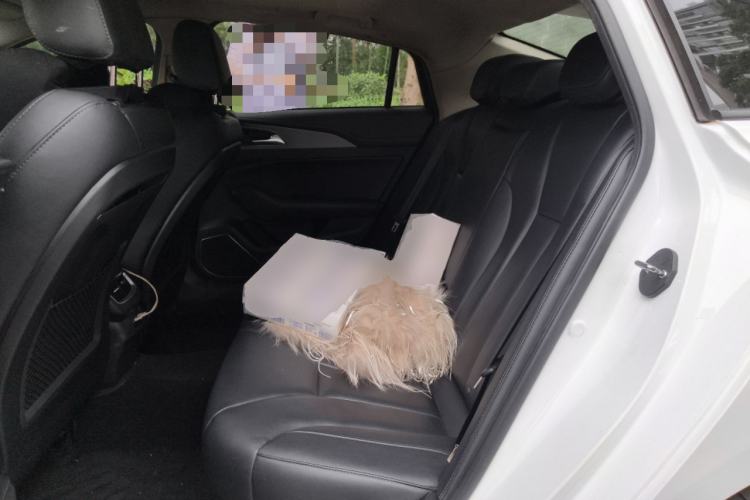 Used Hongqi H5 2020 1.8T Automatic Smart Connect Flagship Edition
