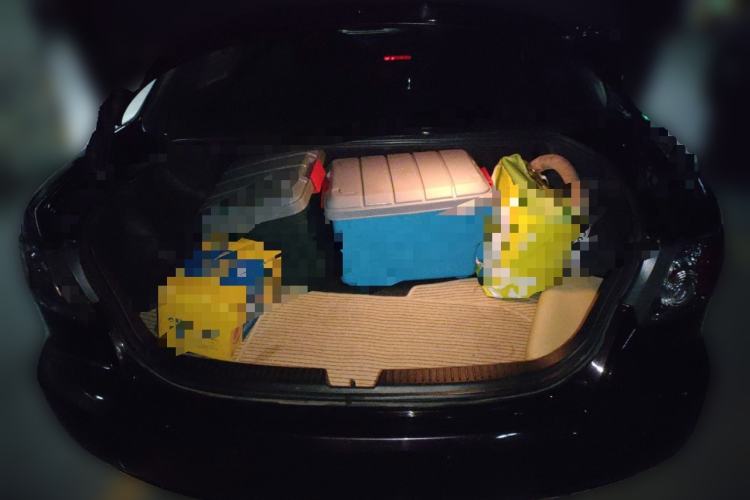 Used Mazda Mazda 6 2015 2.0L Automatic Fashion Edition
