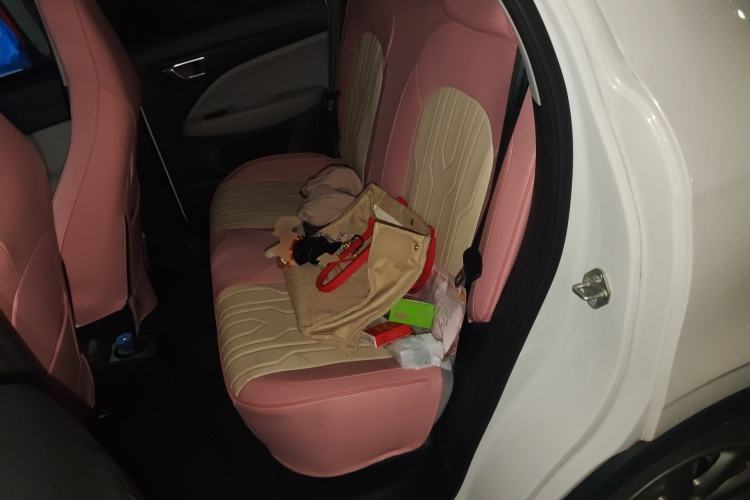 Used Leapmotor T03 2022 Glazed Edition Left Rear Seat