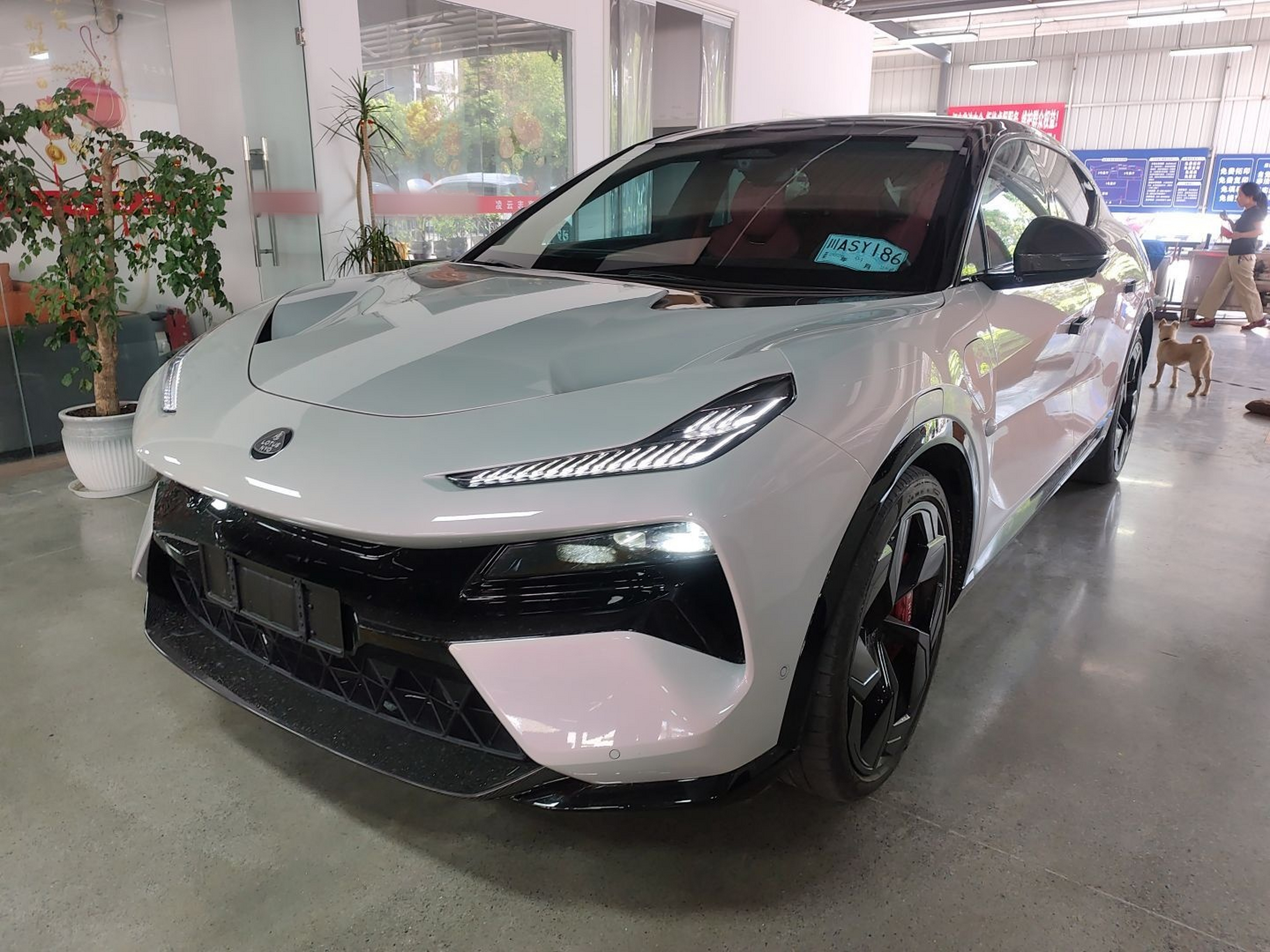 Parte inferior delantera