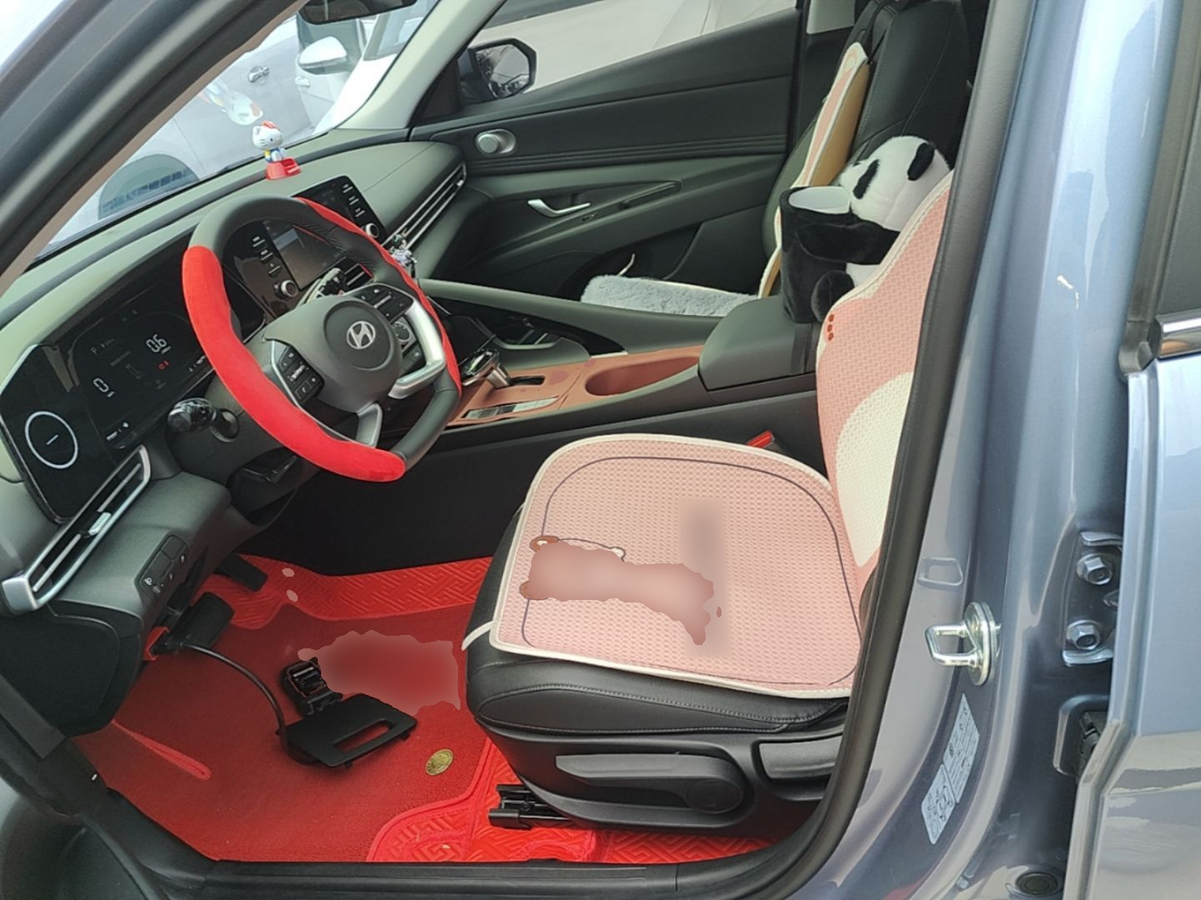 Interior delantero