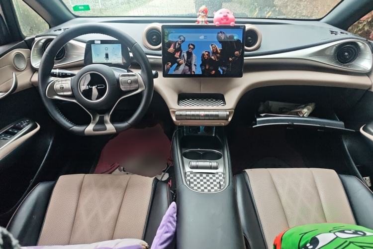 Used BYD Dolphin 2023 420 km Fashion Edition Center Console