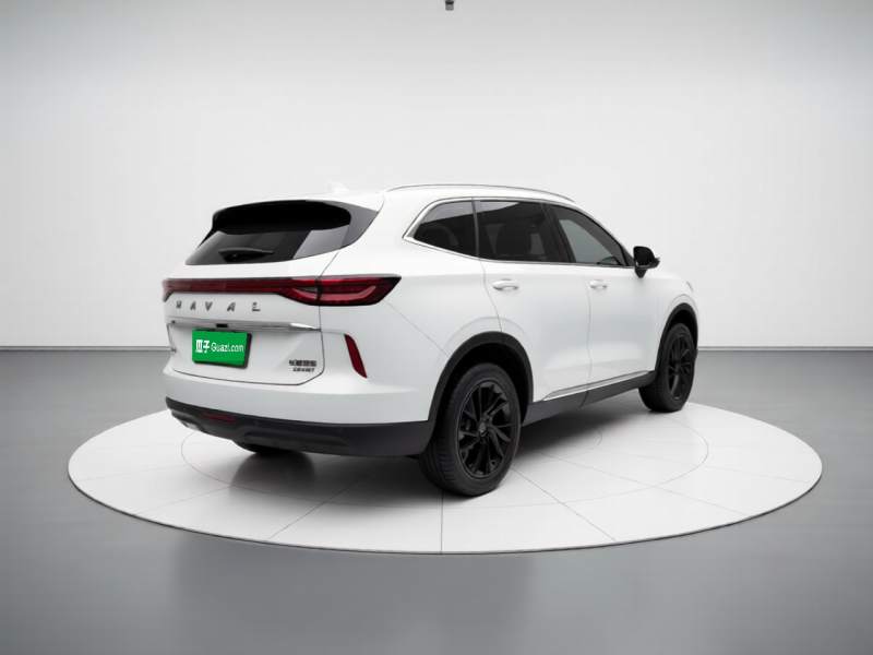 Used Haval H6 2021 3rd Generation 2.0T Automatic Two-Wheel Drive Max — 6