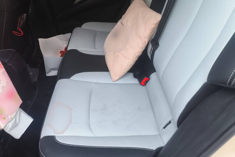 Used NETA AYA 2023 401 Lite