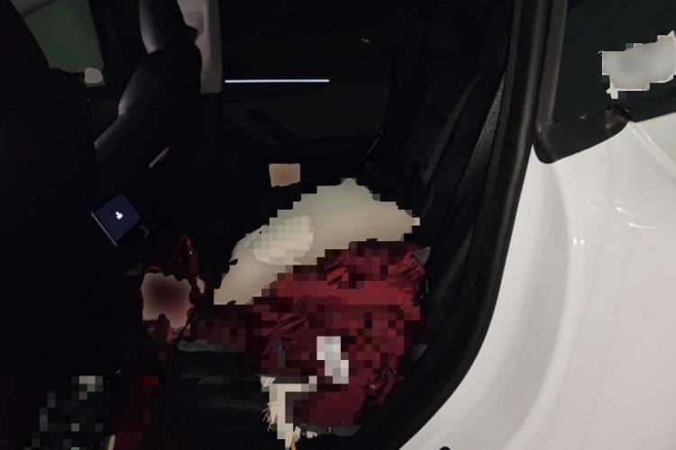 Used Tesla Model Y 2025 Rear-Wheel-Drive Version