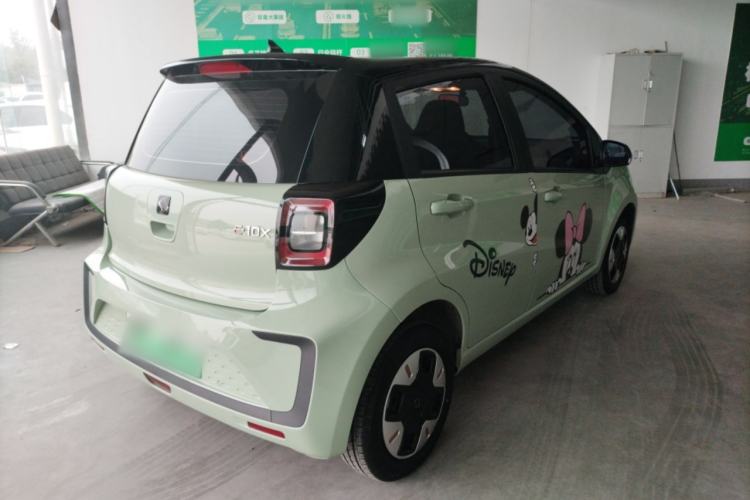 Used SOL E10X 2022 Flower Fairy Design Four-Leaf Clover
