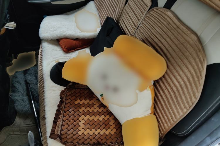 Used CHANGAN CS35 2017 1.6L Manual Luxury Model Left Rear Seat