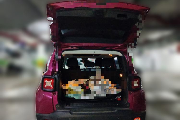 Used Jeep Renegade 2017 180T Automatic High-Energy Version Trunk