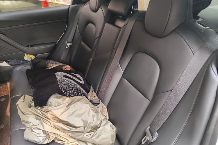 Used Tesla Model 3 2020 Standard Range Rear-Wheel Drive Upgraded Version