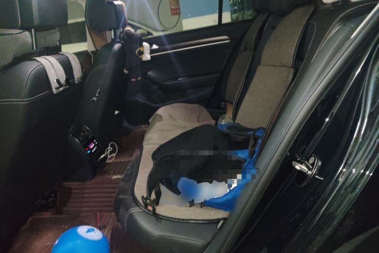 Used Volkswagen Magotan 2020 330TSI DSG Luxury Edition Left Rear Seat