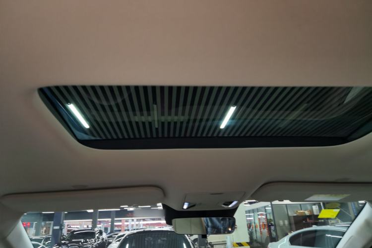 Used BYD Xia 2025 DM-i 1.5T 100km Leading Model Headliner