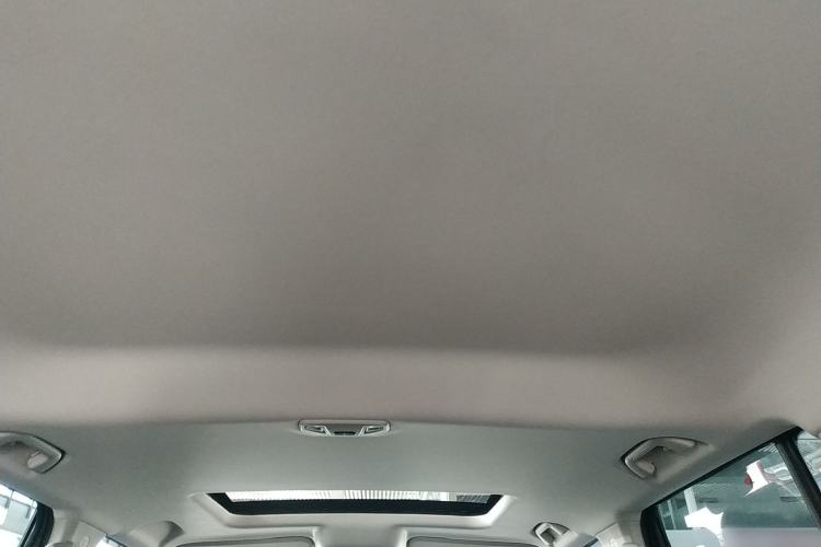 Used Tank 300 2021 Off-Road Edition 2.0T Conqueror Headliner