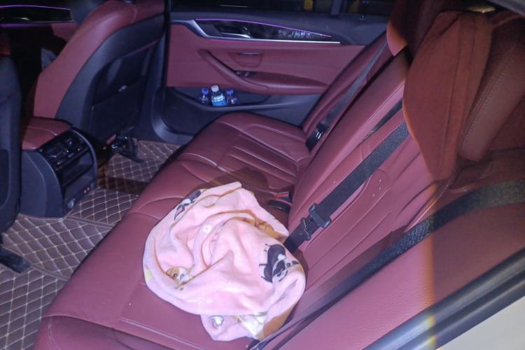 Used BMW 5 Series 2020 530Li Leading Model M Sport Package