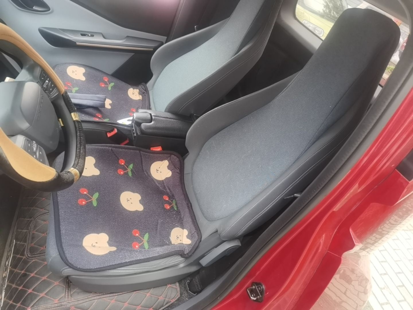 Interior delantero