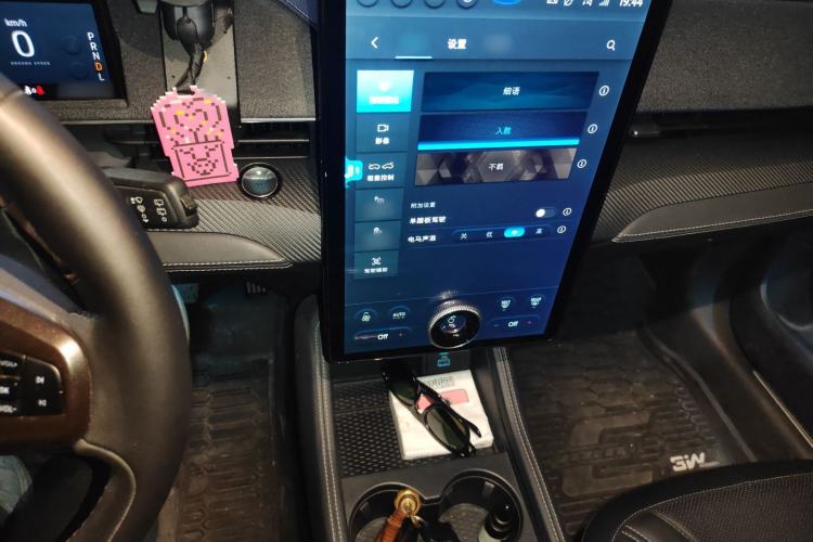 Used Ford Mustang Mach-E 2021 AION Y Plus Rear-Drive Luxury Edition (Long Range)