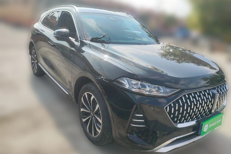 Used Wey Mocha 2021 2.0T Four-Wheel Drive Premium Edition
