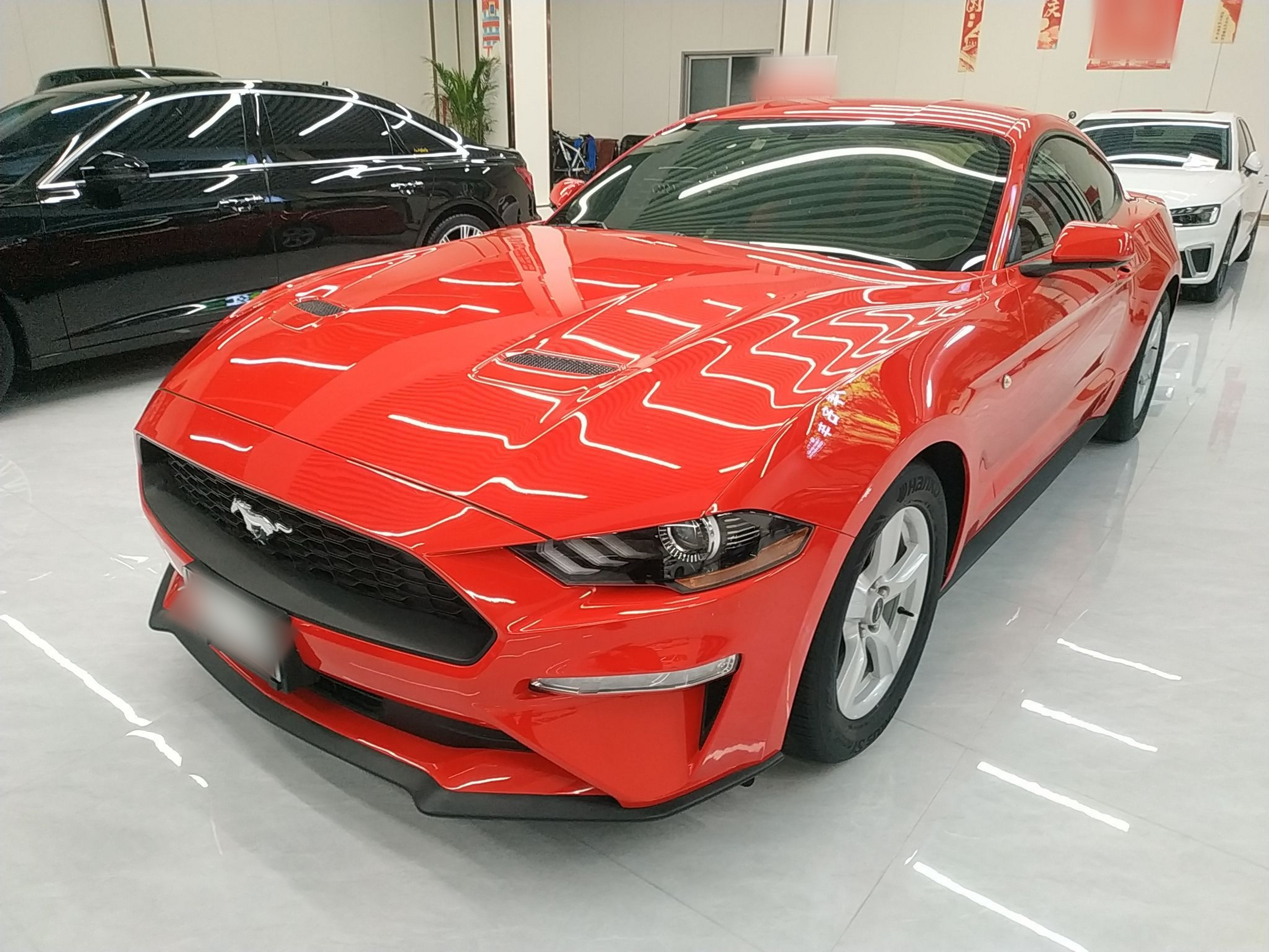 Under Front Bumper