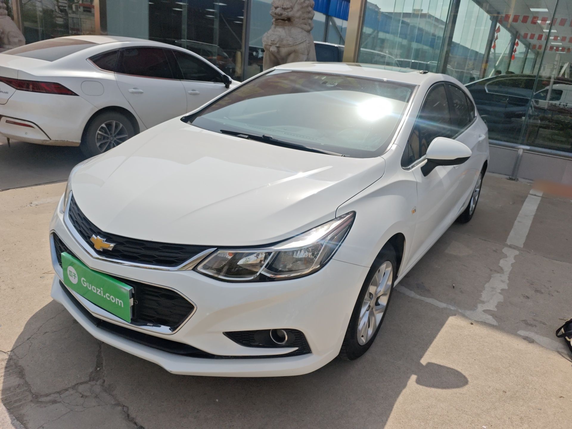 Parte inferior delantera