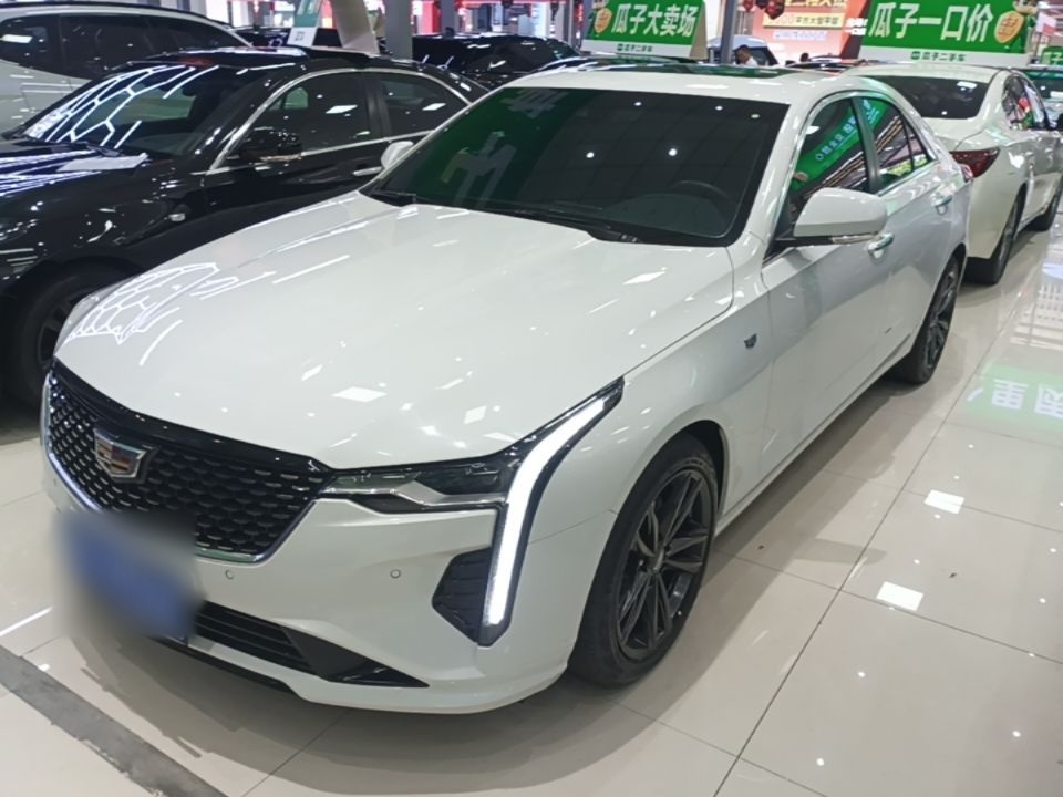 Under Front Bumper