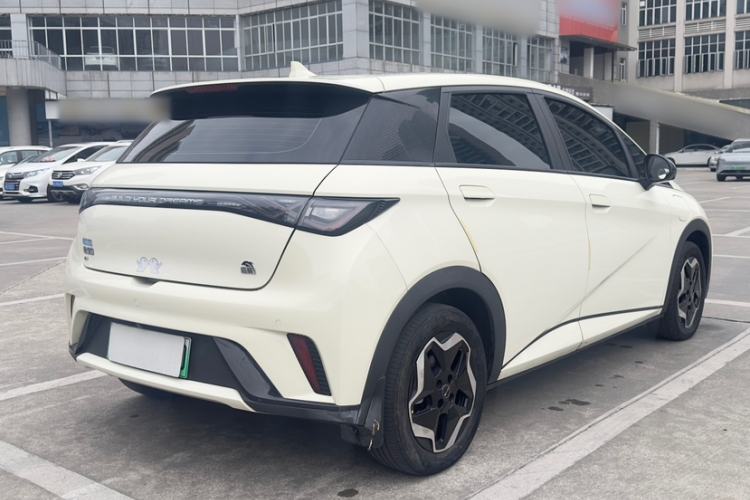 Used BYD Dolphin 2021 405 km Free Version