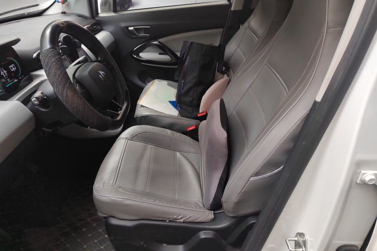 Used Leapmotor T03 2022 Crystal Edition Left Front Seat