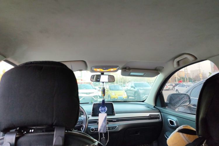 Used Dayun Yuehu 2022 30.66 kWh Two-Wheel Drive Standard Version Headliner