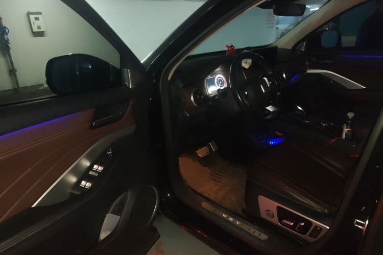 Used Wey VV6 2019 2.0T Two-Wheel-Drive Flagship Version China VI Standard