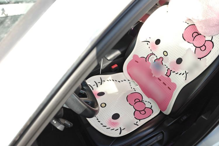 Used Audi A3 2020 Restyled Sportback 35 TFSI Entry-Level China VI Emission Standard