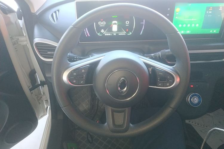 Used ORA White Cat 2020 401 km Long-Range Version Steering Wheel