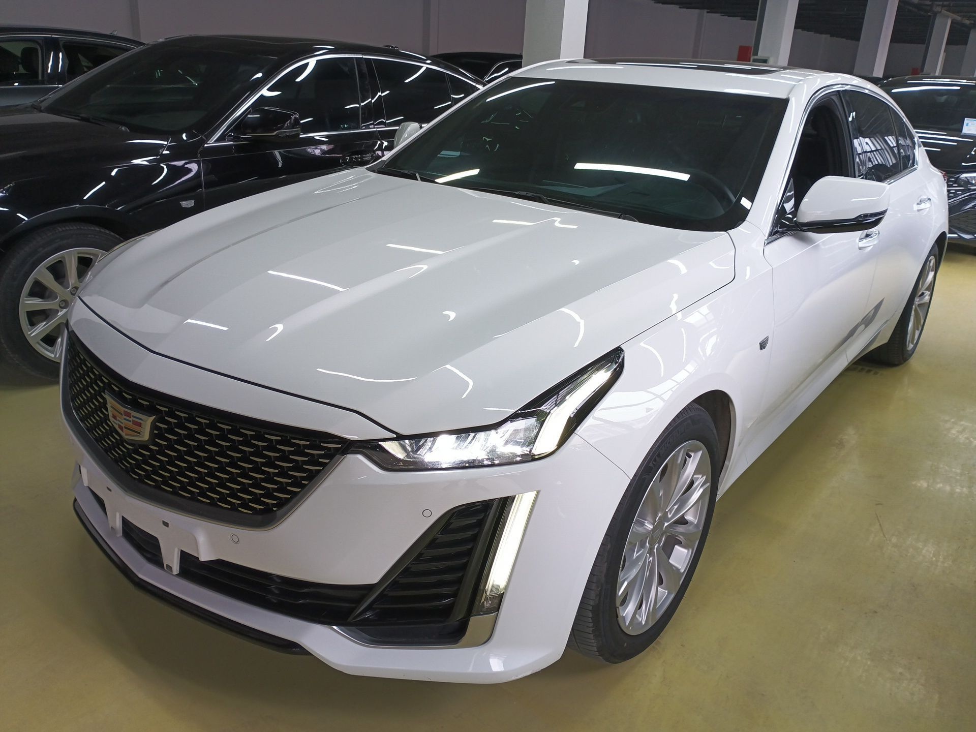 تحت مقدمة السيارة