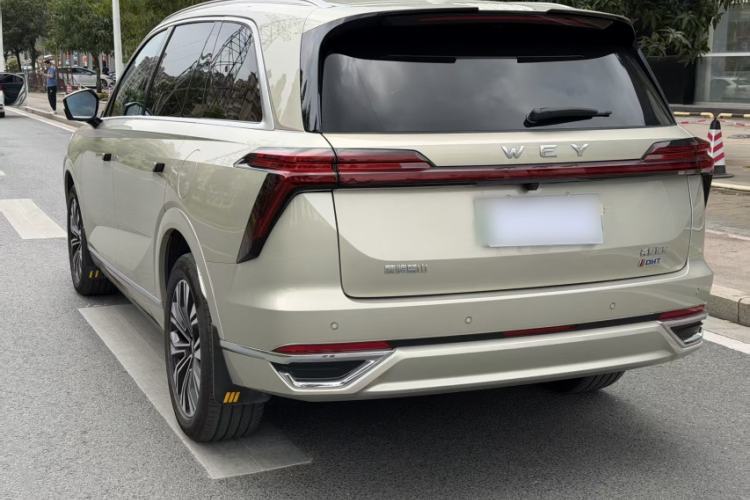 Used Wey Lanshan 2023 Two-Wheel Drive Long-Range Version
