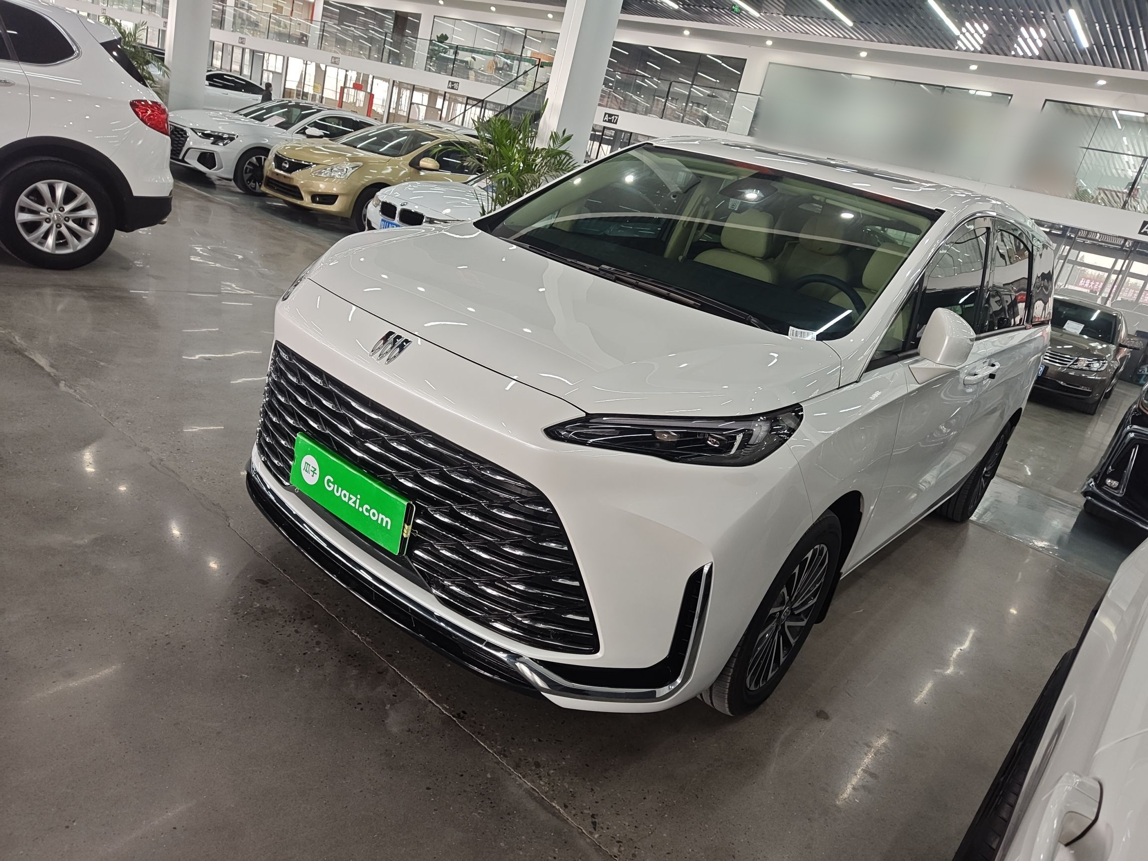 Parte inferior delantera