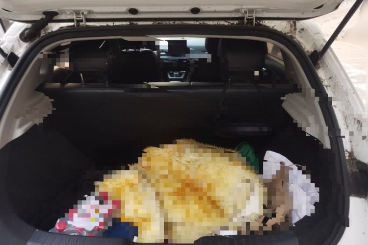 Used BYD e2 2020 Upgraded Model Standard Range Version Standard Configuration Trunk